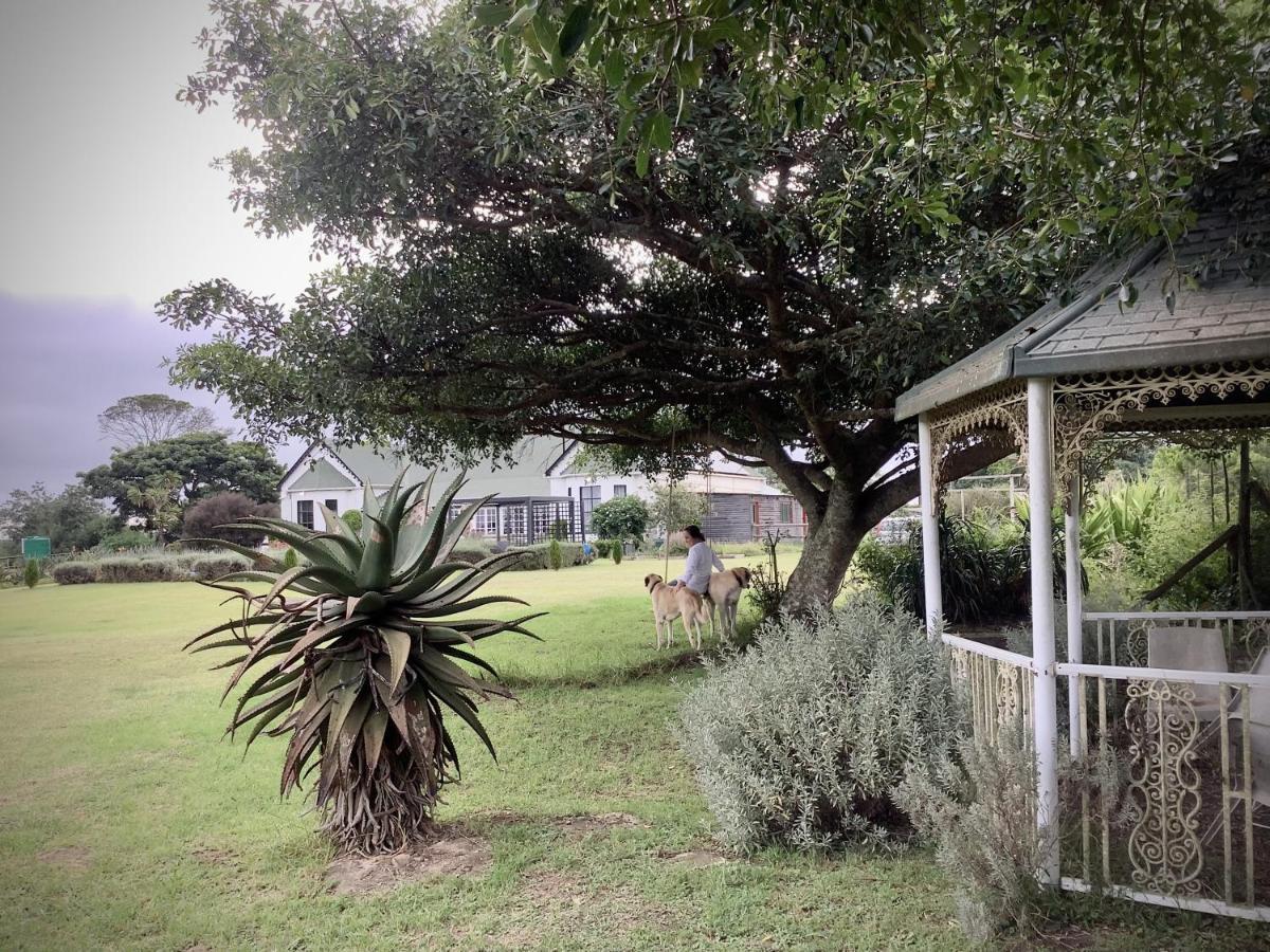 Kingston Farm Villa Bathurst Exterior foto